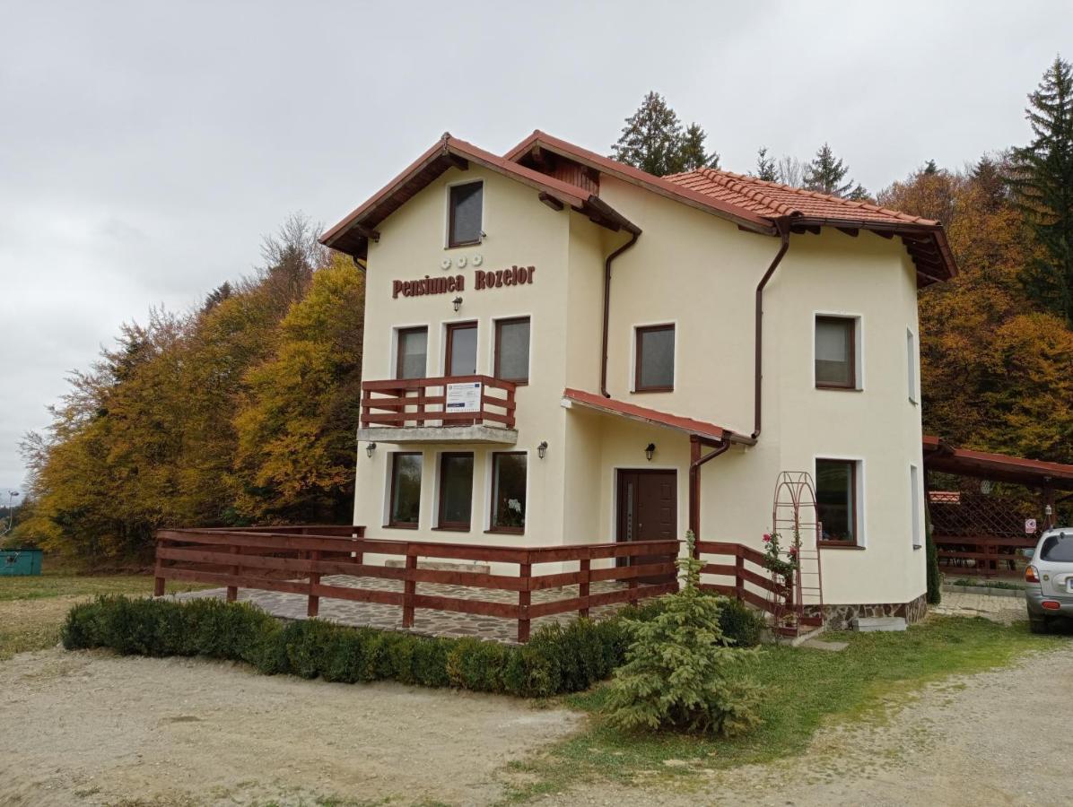 Pensiunea Rozelor Statiunea Climaterica Sambata Simbata de Sus Exterior photo